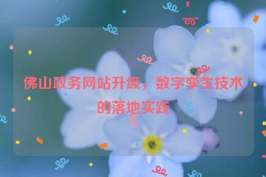 佛山政務(wù)網(wǎng)站升級(jí)，數(shù)字孿生技術(shù)的落地實(shí)踐