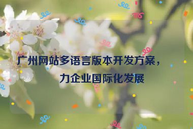 廣州網(wǎng)站多語(yǔ)言版本開發(fā)方案，助力企業(yè)國(guó)際化發(fā)展