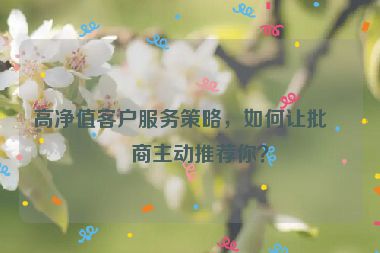 高凈值客戶服務(wù)策略，如何讓批發(fā)商主動推薦你？