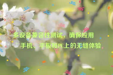 多設(shè)備兼容性測試，確保應(yīng)用在手機、平板和PC上的無縫體驗