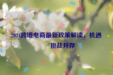 2024跨境電商最新政策解讀，機遇與挑戰(zhàn)并存