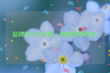 品牌詞VS行業(yè)詞，預(yù)算該如何分配？