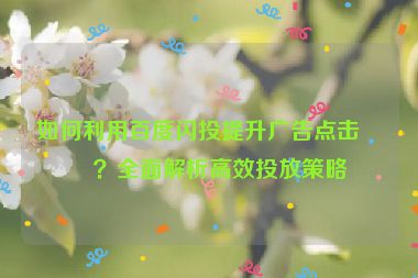 如何利用百度閃投提升廣告點擊率？全面解析高效投放策略