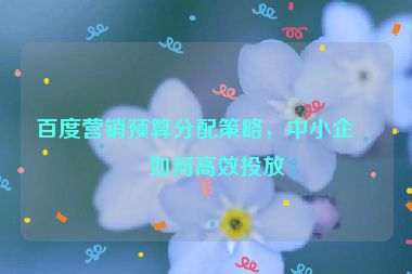 百度營(yíng)銷(xiāo)預(yù)算分配策略，中小企業(yè)如何高效投放