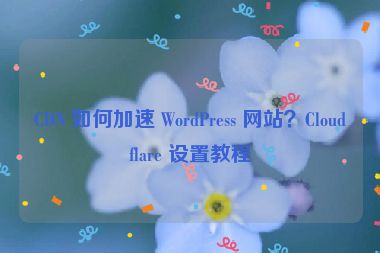 CDN 如何加速 WordPress 網(wǎng)站？Cloudflare 設(shè)置教程