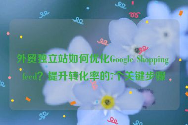 外貿(mào)獨立站如何優(yōu)化Google Shopping feed？提升轉化率的7個關鍵步驟