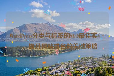 WordPress分類與標(biāo)簽的SEO最佳實(shí)踐，提升網(wǎng)站排名的關(guān)鍵策略