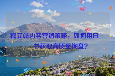 獨(dú)立站內(nèi)容營銷策略，如何用白皮書獲取高質(zhì)量詢盤？