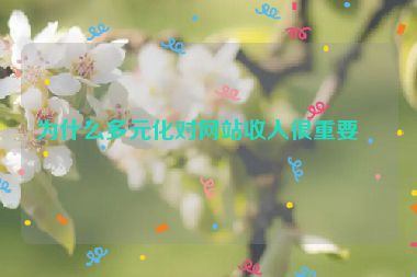 為什么多元化對(duì)網(wǎng)站收入很重要？