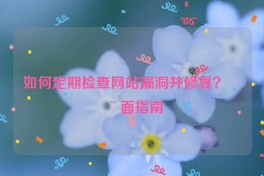 如何定期檢查網(wǎng)站漏洞并修復？全面指南