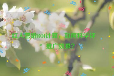 紅人營銷ROI計(jì)算，如何科學(xué)評估推廣效果？