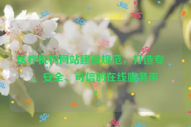 醫(yī)療機(jī)構(gòu)網(wǎng)站建設(shè)規(guī)范，打造專業(yè)、安全、可信的在線服務(wù)平臺(tái)