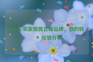 從Ebay賣家到獨立站品牌，他的轉型經(jīng)驗分享