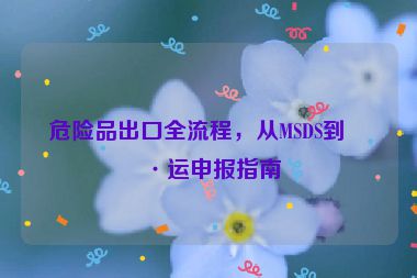 危險(xiǎn)品出口全流程，從MSDS到海運(yùn)申報(bào)指南