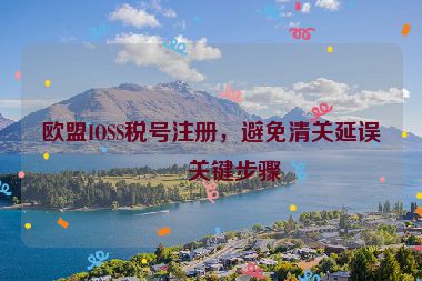 歐盟IOSS稅號(hào)注冊(cè)，避免清關(guān)延誤的關(guān)鍵步驟