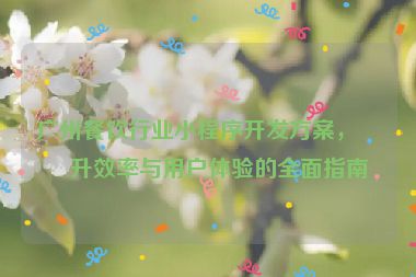 廣州餐飲行業(yè)小程序開發(fā)方案，提升效率與用戶體驗的全面指南