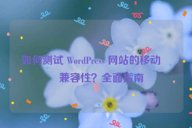如何測試 WordPress 網(wǎng)站的移動端兼容性？全面指南