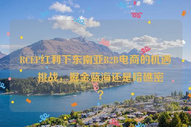 RCEP紅利下東南亞B2B電商的機遇與挑戰(zhàn)，掘金藍(lán)海還是暗礁密布？