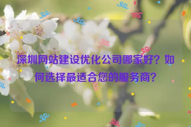 深圳網(wǎng)站建設(shè)優(yōu)化公司哪家好？如何選擇最適合您的服務(wù)商？