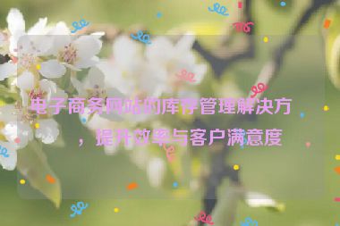 電子商務(wù)網(wǎng)站的庫(kù)存管理解決方案，提升效率與客戶滿意度
