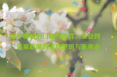 數(shù)字疆域的門檻與博弈，企業(yè)網(wǎng)站備案政策的深層邏輯與未來(lái)走向