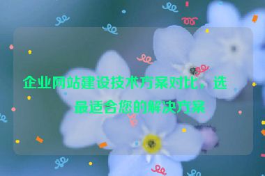 企業(yè)網(wǎng)站建設(shè)技術(shù)方案對比，選擇最適合您的解決方案