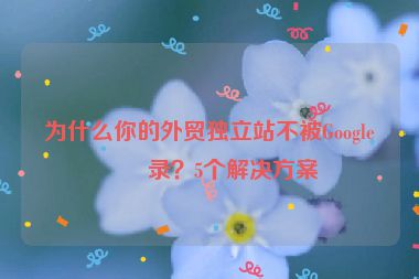 為什么你的外貿(mào)獨(dú)立站不被Google收錄？5個(gè)解決方案
