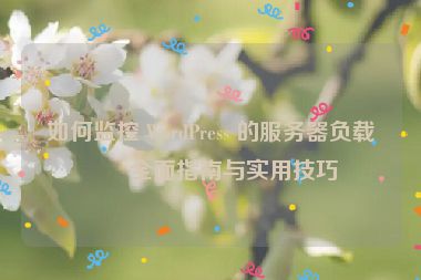 如何監(jiān)控 WordPress 的服務(wù)器負(fù)載，全面指南與實(shí)用技巧