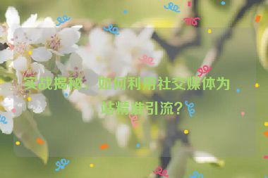實(shí)戰(zhàn)揭秘，如何利用社交媒體為網(wǎng)站精準(zhǔn)引流？