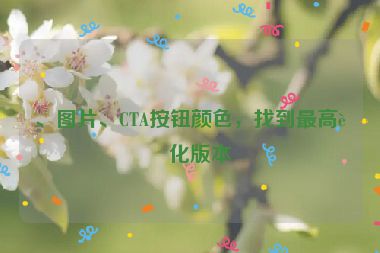、圖片、CTA按鈕顏色，找到最高轉(zhuǎn)化版本
