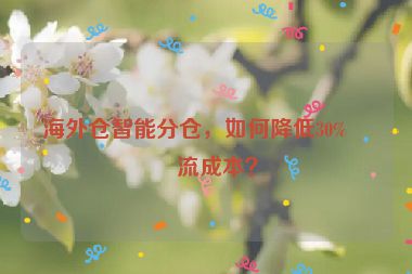 海外倉智能分倉，如何降低30%物流成本？