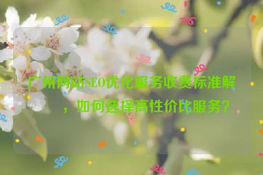 廣州網(wǎng)站SEO優(yōu)化服務(wù)收費(fèi)標(biāo)準(zhǔn)解析，如何選擇高性價比服務(wù)？