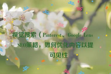 視覺搜索（Pinterest、Google Lens）SEO策略，如何優(yōu)化內(nèi)容以提升可見性