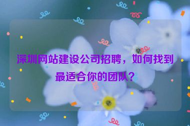深圳網(wǎng)站建設(shè)公司招聘，如何找到最適合你的團(tuán)隊(duì)？