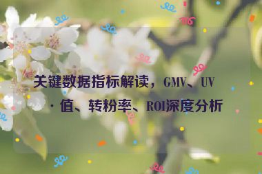 關(guān)鍵數(shù)據(jù)指標(biāo)解讀，GMV、UV價值、轉(zhuǎn)粉率、ROI深度分析