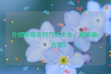 外貿(mào)電商支付方式大全，哪種最適合你？