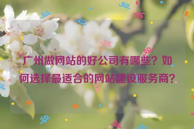 廣州做網(wǎng)站的好公司有哪些？如何選擇最適合的網(wǎng)站建設(shè)服務(wù)商？