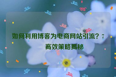 如何利用博客為電商網(wǎng)站引流？7個(gè)高效策略揭秘