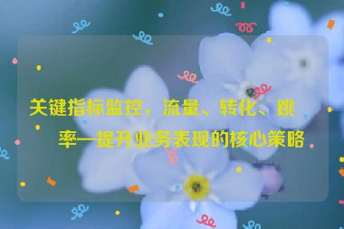 關(guān)鍵指標監(jiān)控，流量、轉(zhuǎn)化、跳出率—提升業(yè)務(wù)表現(xiàn)的核心策略