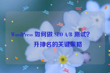 WordPress 如何做 SEO A/B 測試？提升排名的關(guān)鍵策略