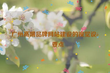 廣州高端品牌網(wǎng)站建設(shè)的視覺(jué)設(shè)計(jì)要點(diǎn)