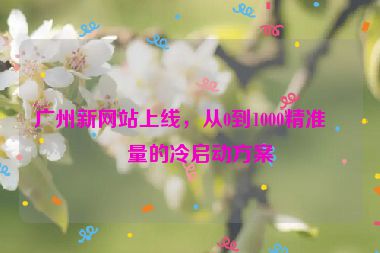 廣州新網(wǎng)站上線，從0到1000精準流量的冷啟動方案