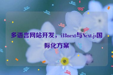 多語言網(wǎng)站開發(fā)，i18next與Next.js國際化方案