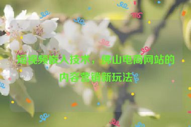 短視頻嵌入技術(shù)，佛山電商網(wǎng)站的內(nèi)容營(yíng)銷新玩法