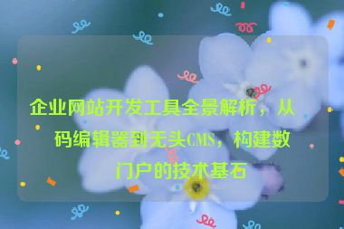 企業(yè)網(wǎng)站開(kāi)發(fā)工具全景解析，從代碼編輯器到無(wú)頭CMS，構(gòu)建數(shù)字門戶的技術(shù)基石