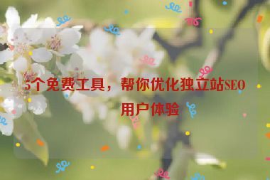 5個(gè)免費(fèi)工具，幫你優(yōu)化獨(dú)立站SEO和用戶體驗(yàn)
