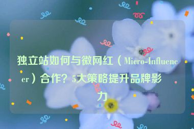 獨(dú)立站如何與微網(wǎng)紅（Micro-Influencer）合作？5大策略提升品牌影響力