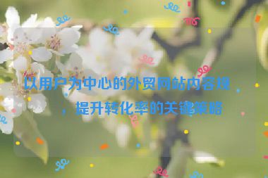 以用戶為中心的外貿(mào)網(wǎng)站內(nèi)容規(guī)劃，提升轉(zhuǎn)化率的關(guān)鍵策略