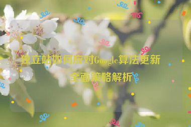 獨(dú)立站如何應(yīng)對(duì)Google算法更新？全面策略解析