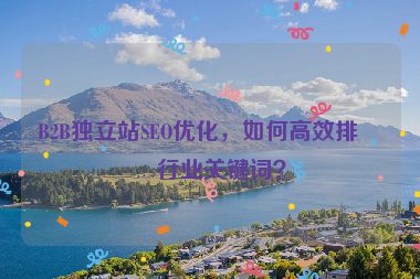 B2B獨(dú)立站SEO優(yōu)化，如何高效排名行業(yè)關(guān)鍵詞？